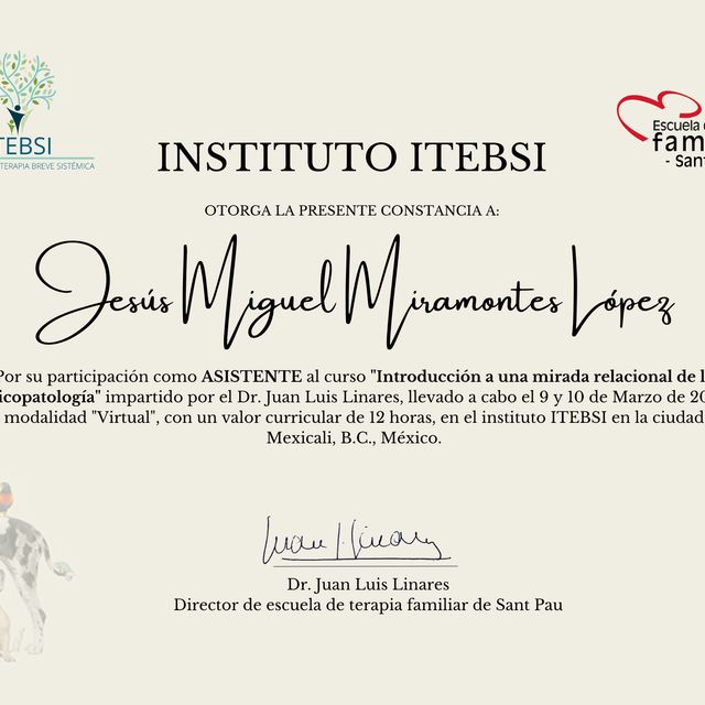 Ampliar imagen: certificate 8