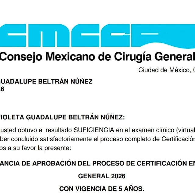 Ampliar imagen: certificate 1