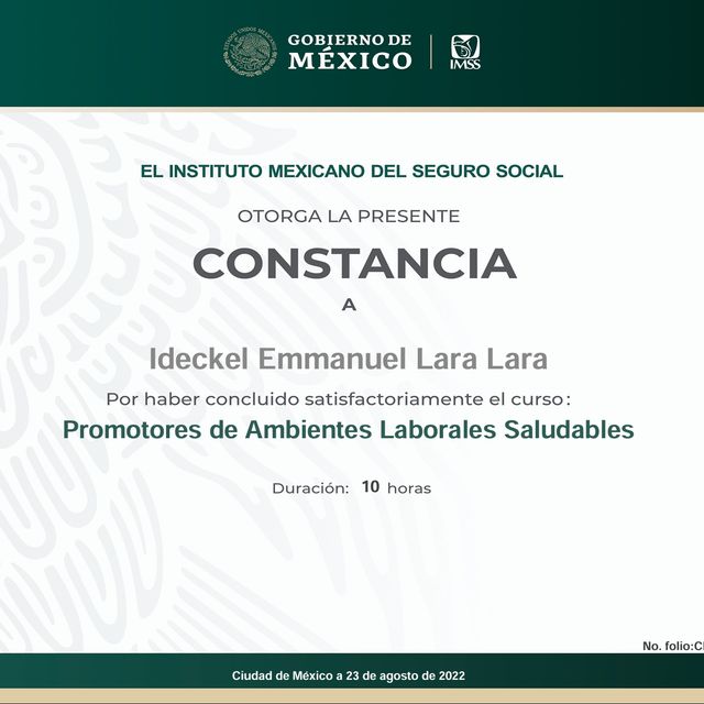 Ampliar imagen: certificate 3