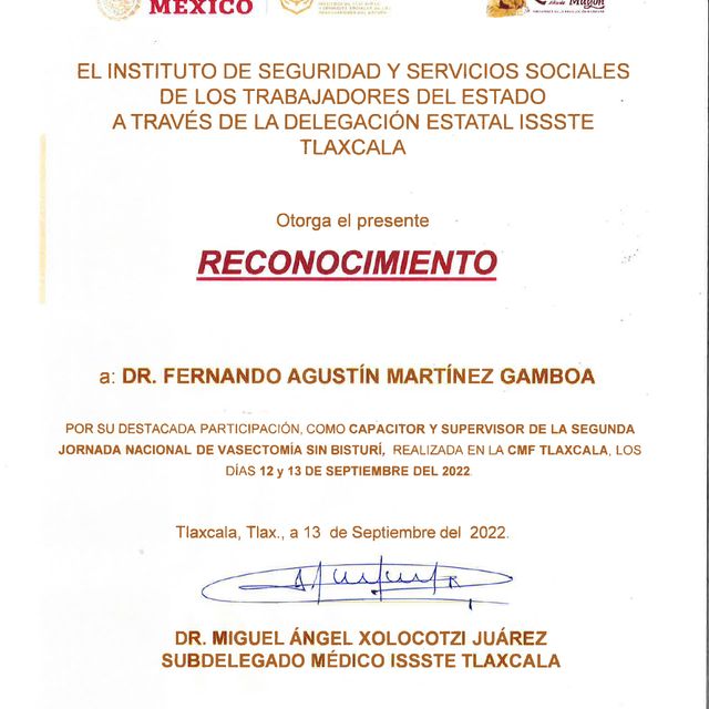 Ampliar imagen: certificate 5