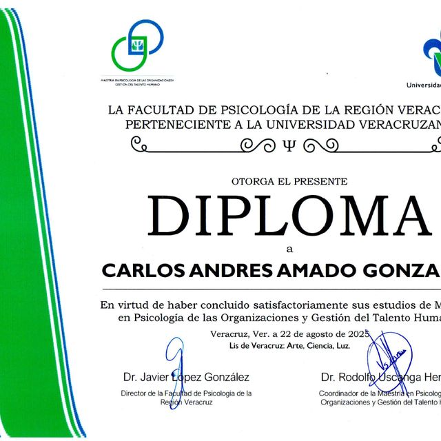 Ampliar imagen: certificate 6