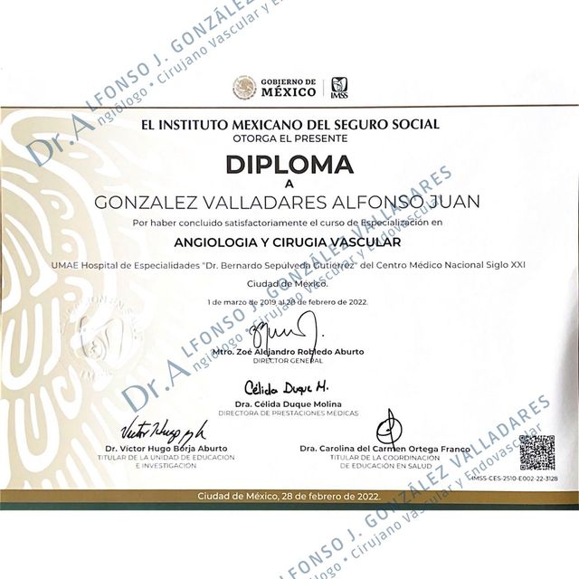 Ampliar imagen: certificate 1