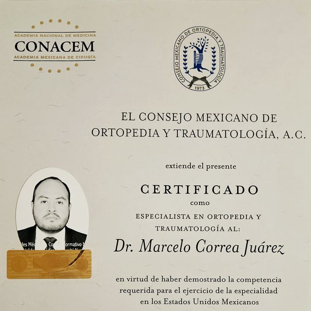 Ampliar imagen: certificate 1
