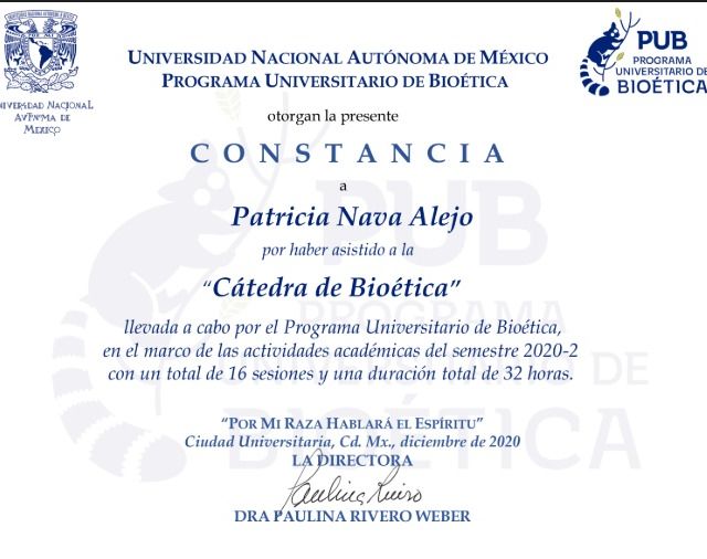 Ampliar imagen: certificate 6