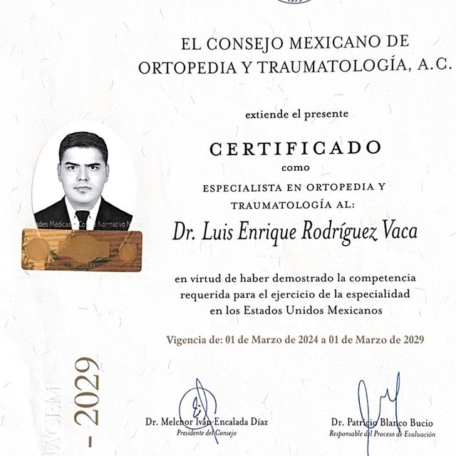 Ampliar imagen: certificate 1