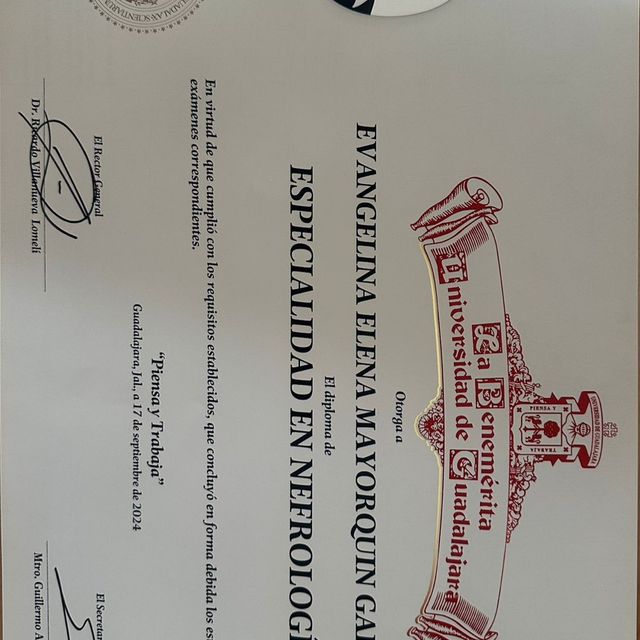 Ampliar imagen: certificate 2