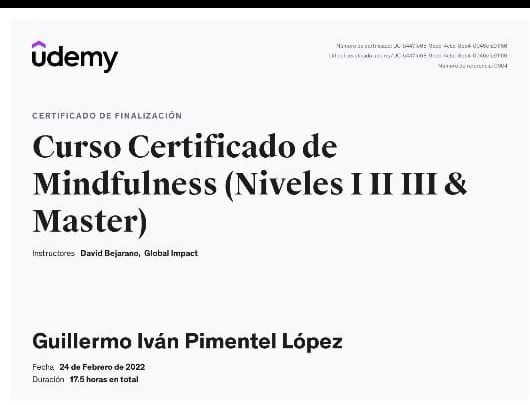 Ampliar imagen: certificate 4