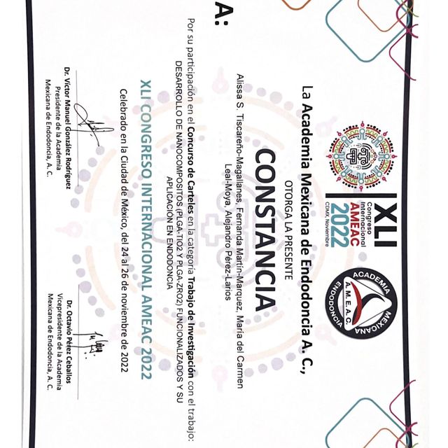 Ampliar imagen: certificate 5