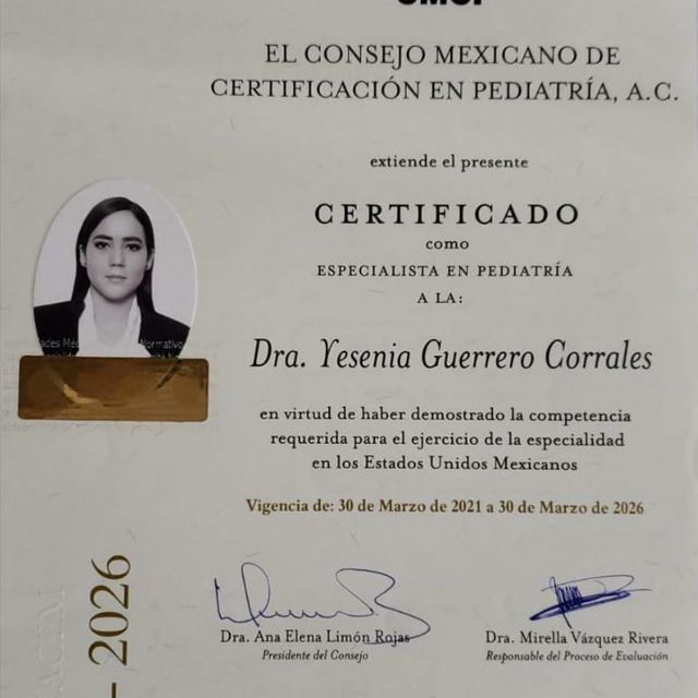 Ampliar imagen: certificate 2