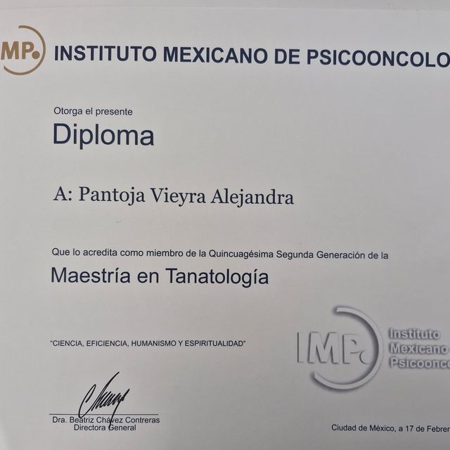 Ampliar imagen: certificate 3