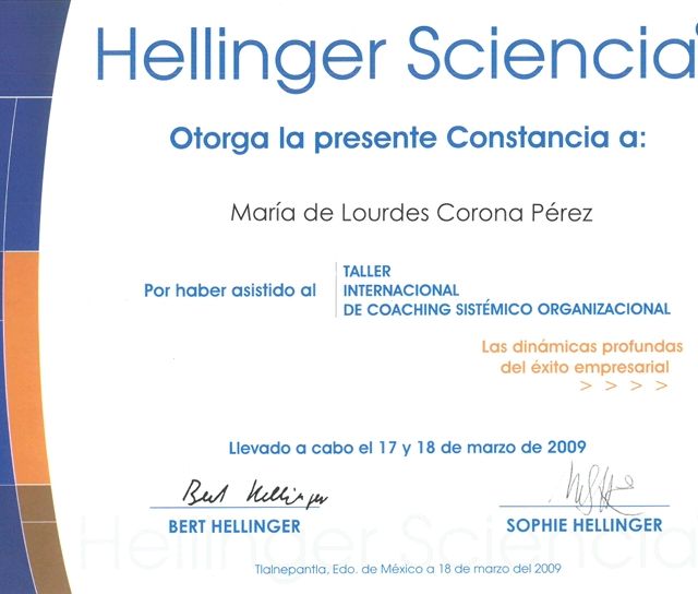 Ampliar imagen: certificate 2
