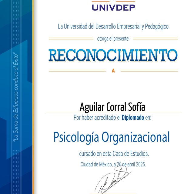 Ampliar imagen: certificate 4