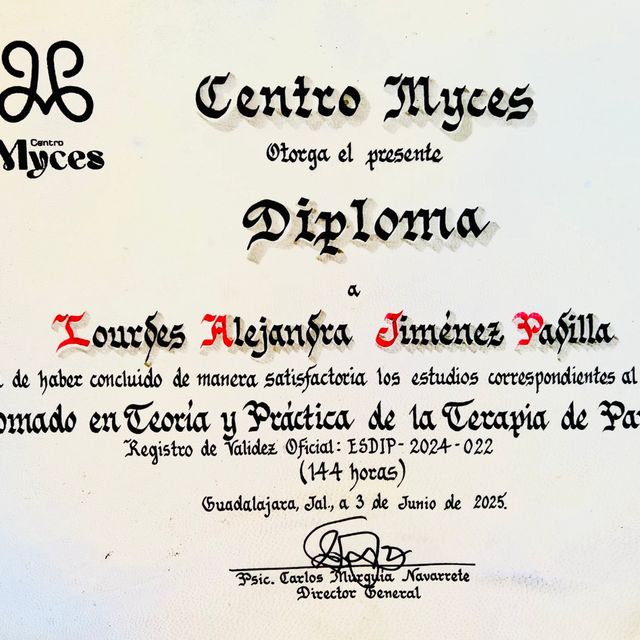 Ampliar imagen: certificate 3