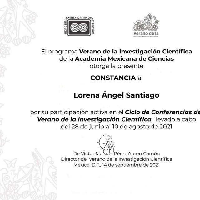 Ampliar imagen: certificate 3