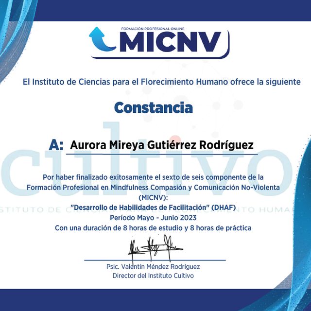 Ampliar imagen: certificate 7