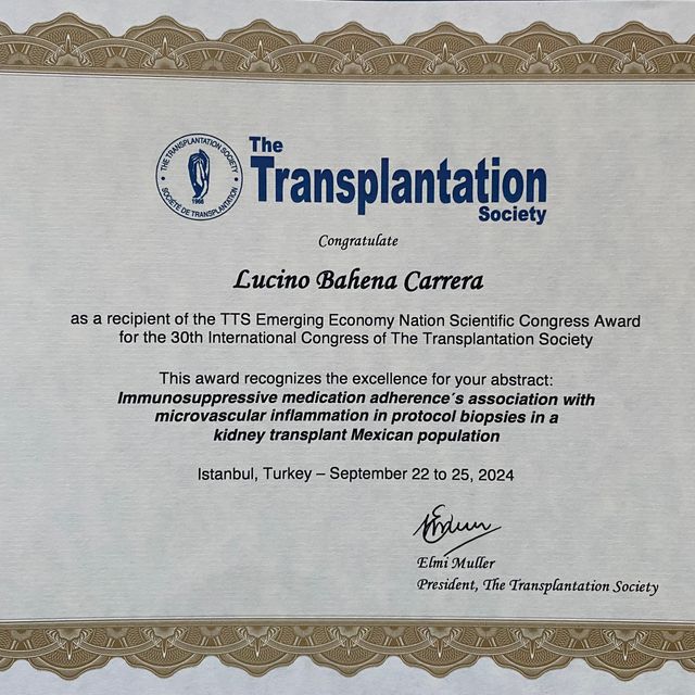 Ampliar imagen: certificate 1