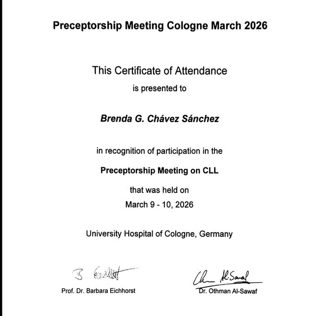 Ampliar imagen: certificate 3