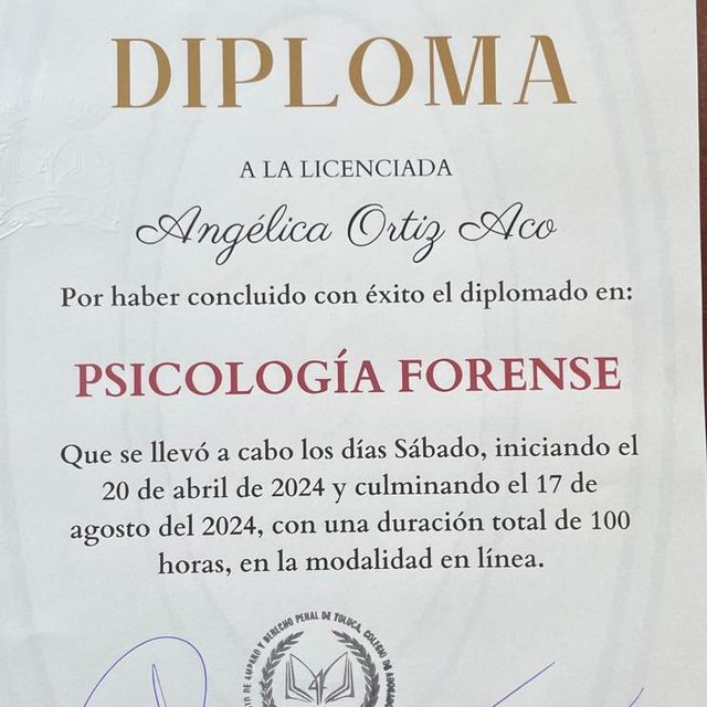 Ampliar imagen: certificate 3
