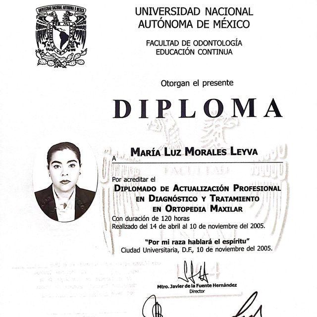 Ampliar imagen: certificate 3