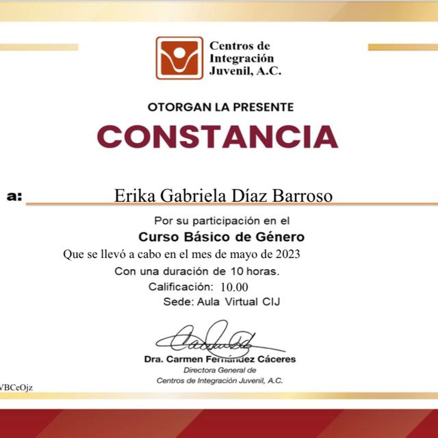 Ampliar imagen: certificate 5