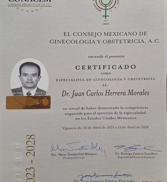 Ampliar imagen: certificate 2