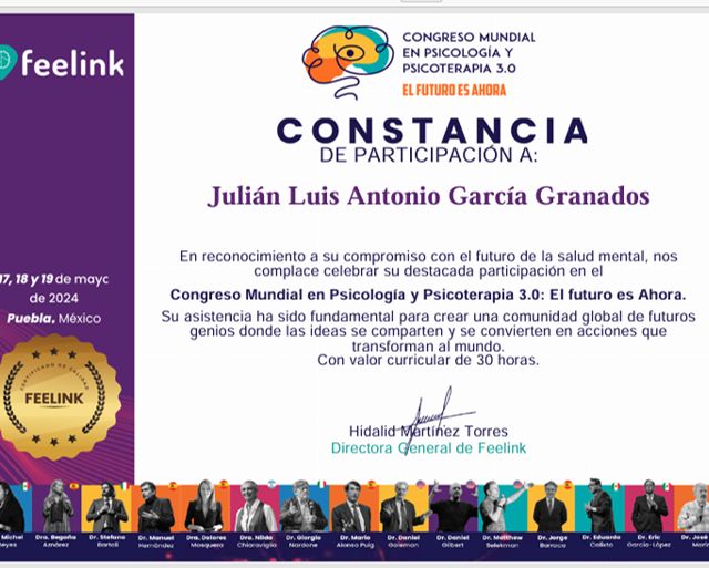 Ampliar imagen: certificate 8