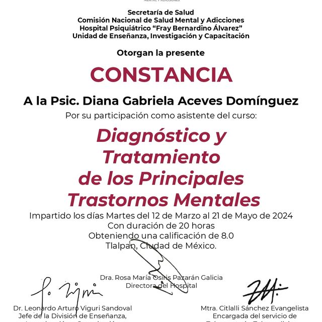 Ampliar imagen: certificate 5