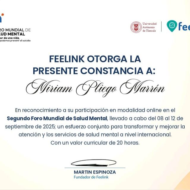 Ampliar imagen: certificate 7