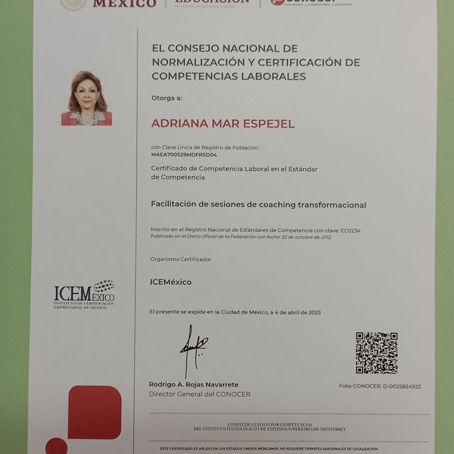 Ampliar imagen: certificate 5