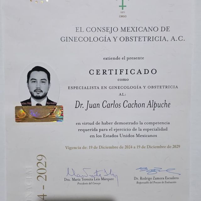 Ampliar imagen: certificate 1