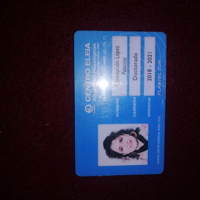 Ampliar imagen: certificate 14