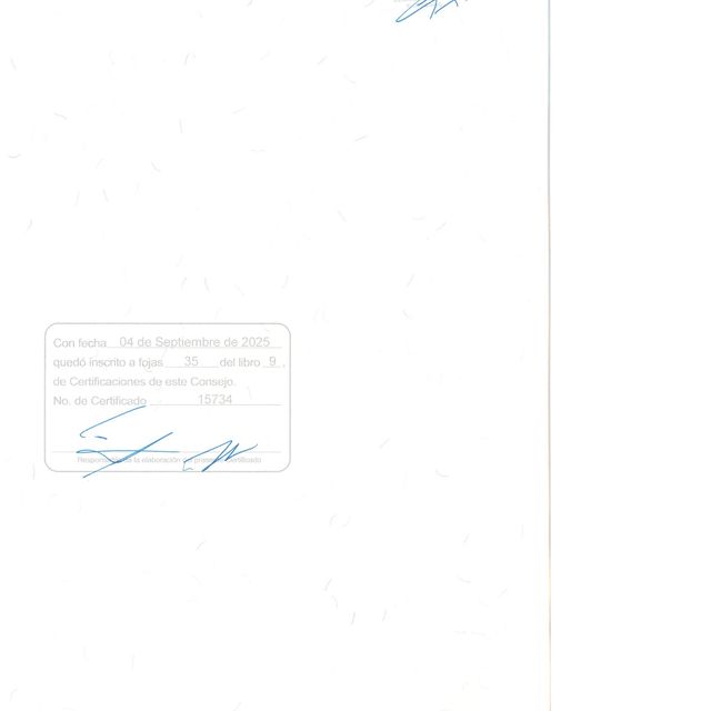 Ampliar imagen: certificate 6