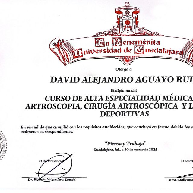 Ampliar imagen: certificate 8