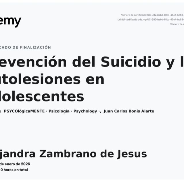 Ampliar imagen: certificate 8