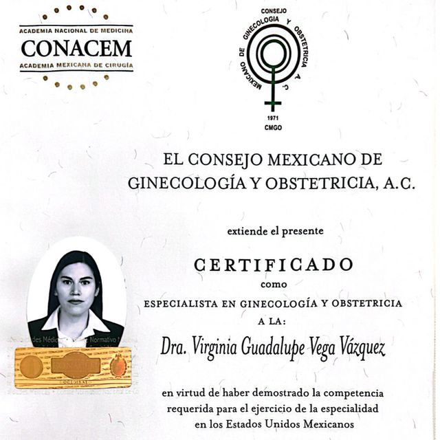 Ampliar imagen: certificate 1