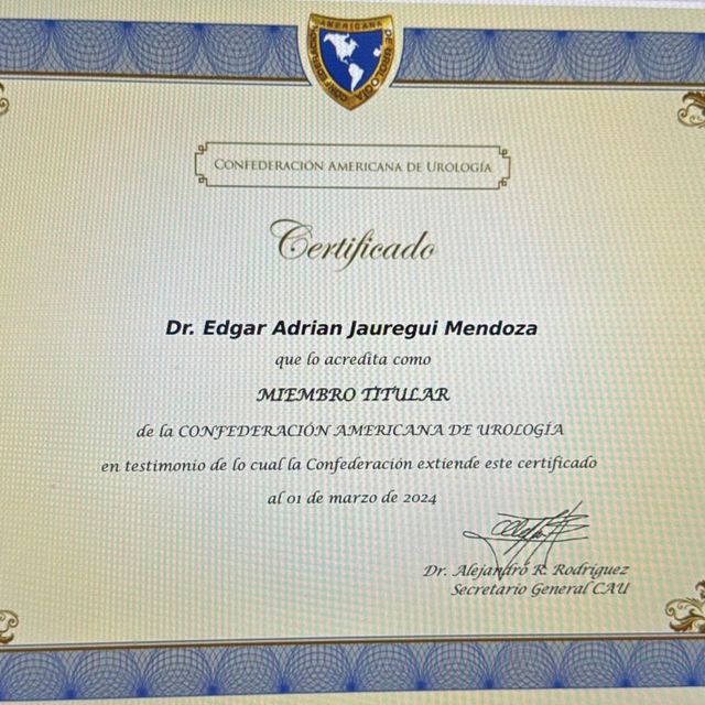 Ampliar imagen: certificate 3