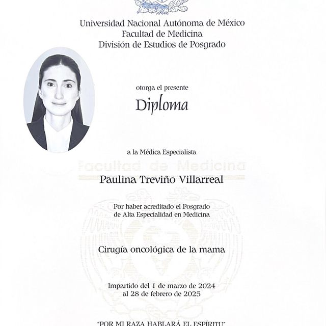 Ampliar imagen: certificate 2