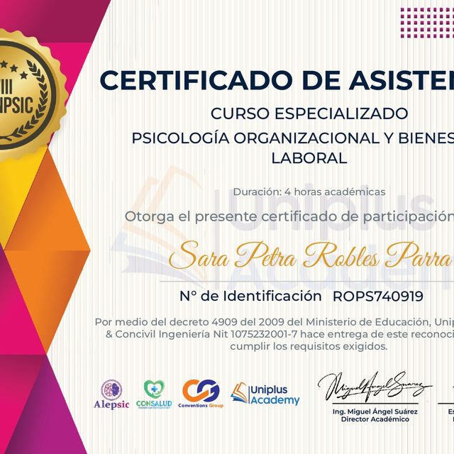 Ampliar imagen: certificate 4