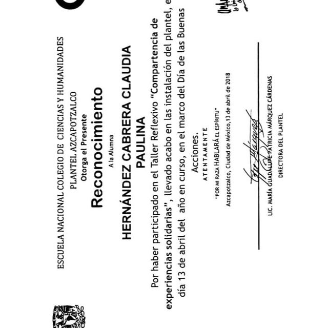 Ampliar imagen: certificate 7