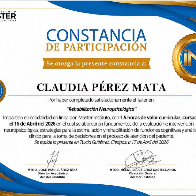 Ampliar imagen: certificate 3