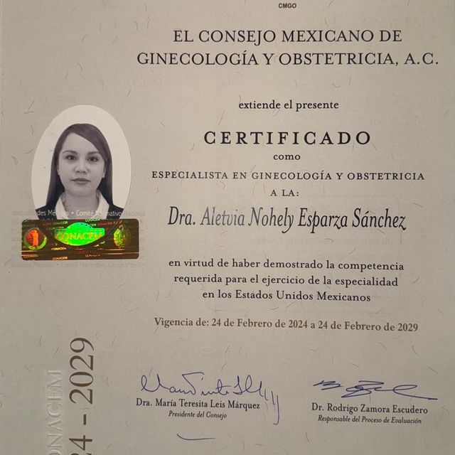 Ampliar imagen: certificate 1