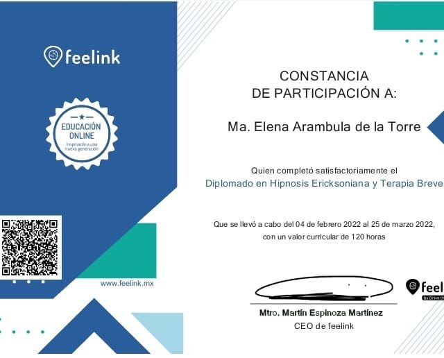 Ampliar imagen: certificate 6