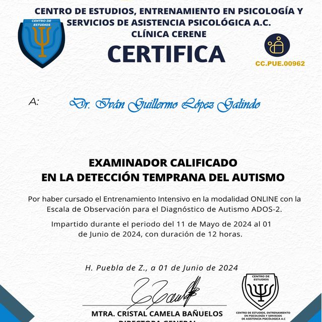 Ampliar imagen: certificate 2