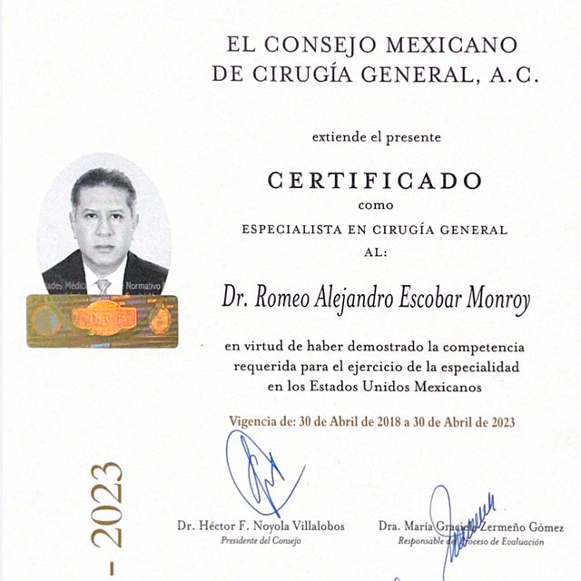 Ampliar imagen: certificate 1
