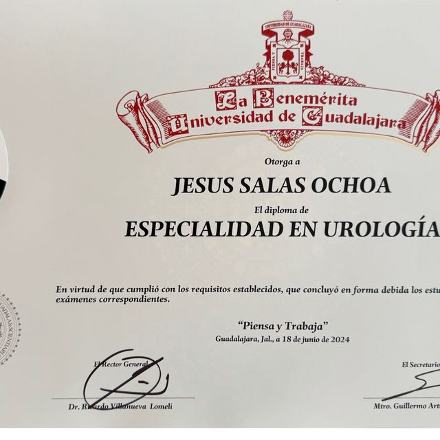 Ampliar imagen: certificate 10