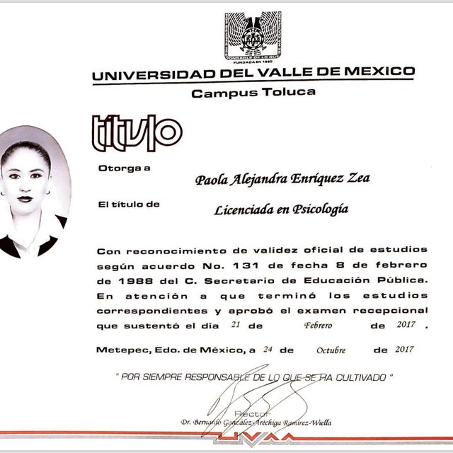 Ampliar imagen: certificate 2