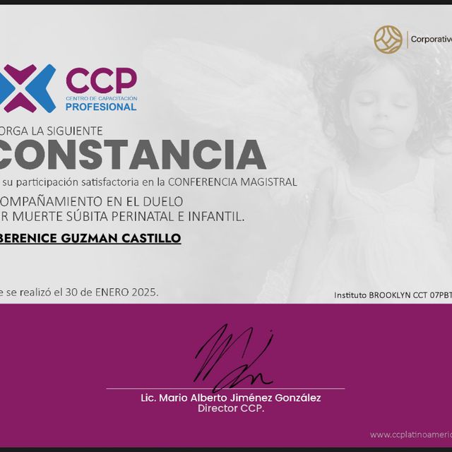 Ampliar imagen: certificate 4