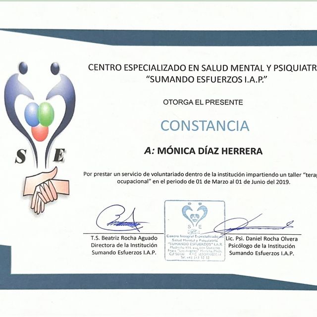 Ampliar imagen: certificate 5
