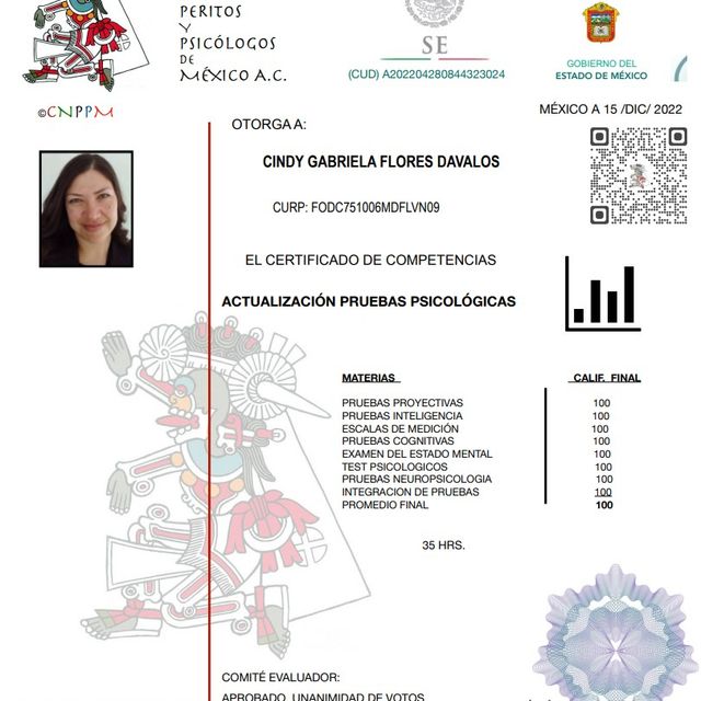 Ampliar imagen: certificate 5