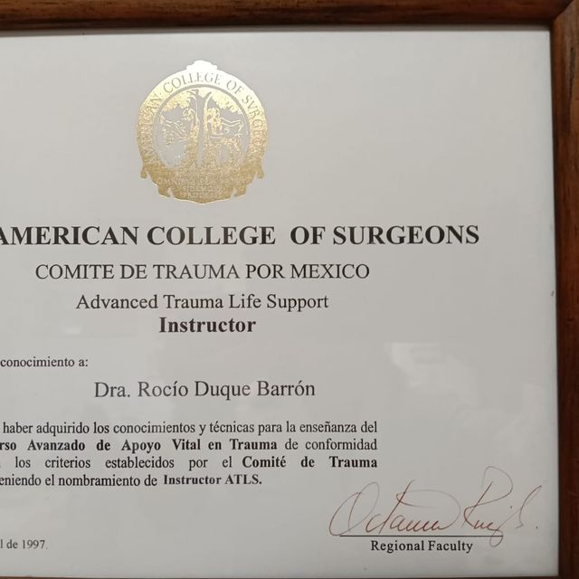 Ampliar imagen: certificate 2